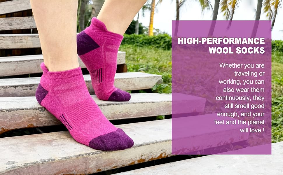  Cushioned No Show Socks
