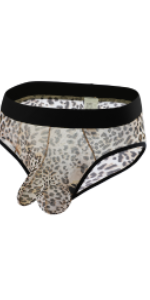 men&#39;s sexy panties