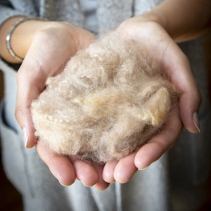 Alpaca Fiber