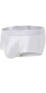 Men''s Bulge Pouch Silk Underwear