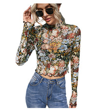 Sheer Mesh Crop Tee