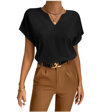 Short Sleeve Notched Neck Blouse