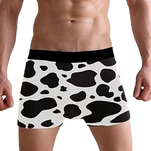 galaxy cat mens boxer briefs