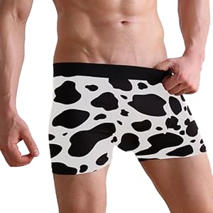 corgi dog mens boxer briefs