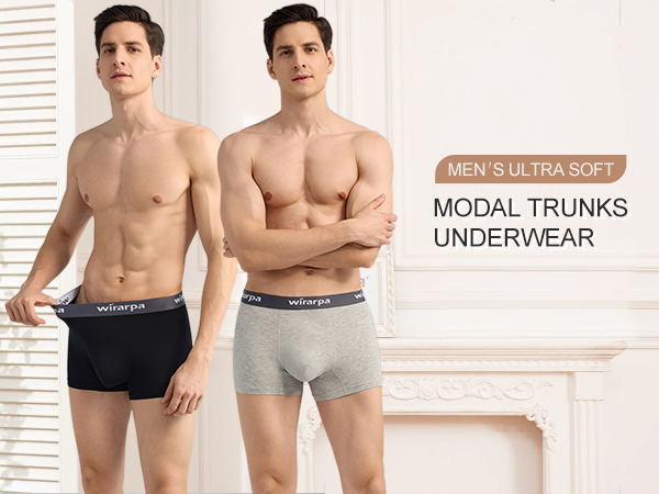 mens modal boxer briefs