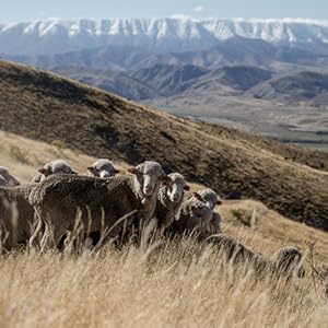 Icebreaker, merino wool, sportswear, hiking gear, camping gear, hiking clothes, exercise clothing