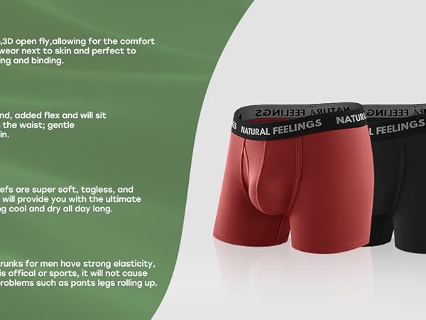 Mens Underwear Bamboo Rayon Boxer Briefs Breathable and Soft Trunks with Fly Underwear for Men
