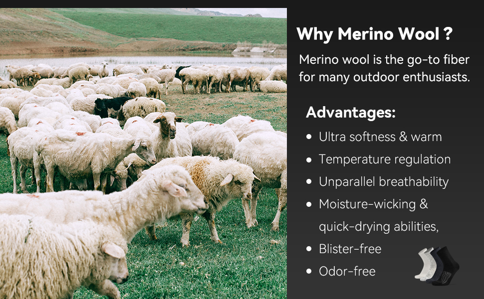 merino wool socks