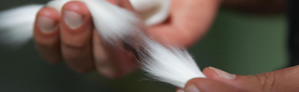 Ethical Manufacturing