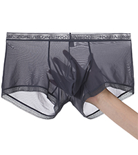 ice silk see through men boxer briefs