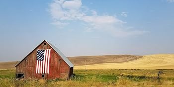 usa 