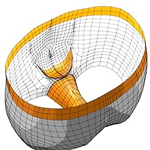 wireframe of Underware comfort-sack brief showing interior of ball pouch brief; superior support