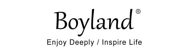 Boyland