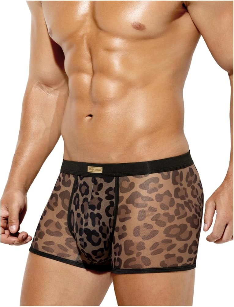 Arjen Kroos Men's Sexy Mesh Trunks Underwear Soft Breathable Boxer Briefs