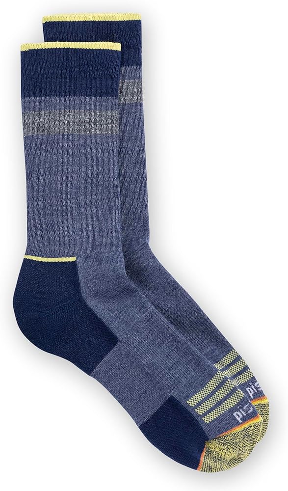 Pistil Men's Ryder Crew Sock
