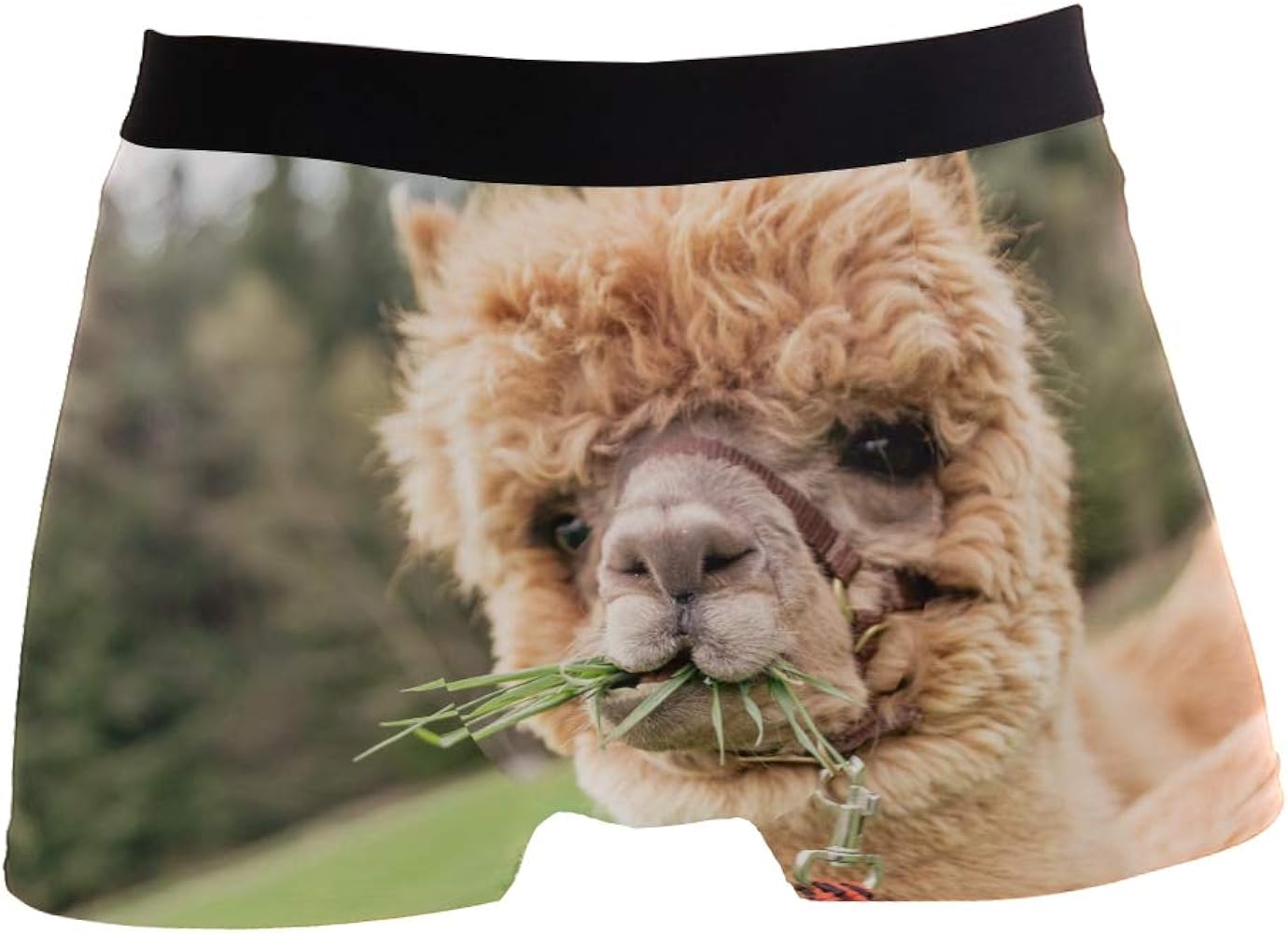 ZZKKO Skull Llama Mens Boxer Briefs Underwear Breathable Stretch Boxer Trunk with Pouch S-XXL