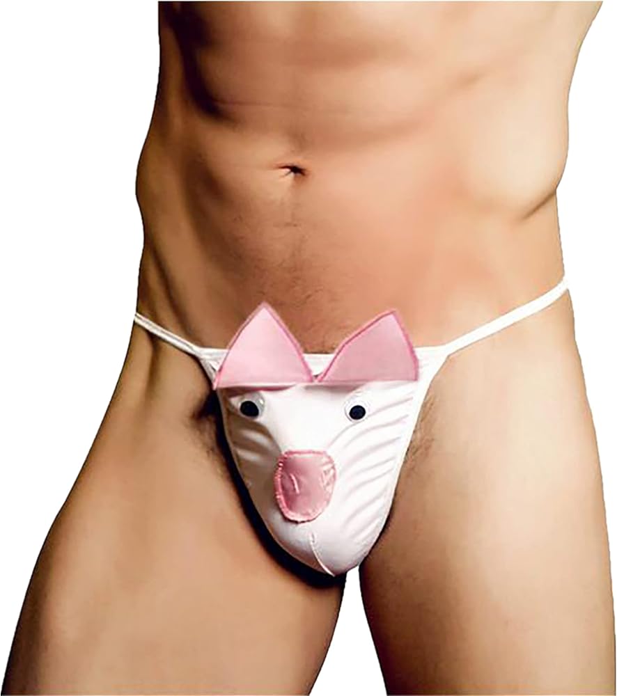 Men's Pouch Thongs Sexy String Briefs Underwear Penguin Animal Shape Panties Base Layer Trunks Underpant Underwear