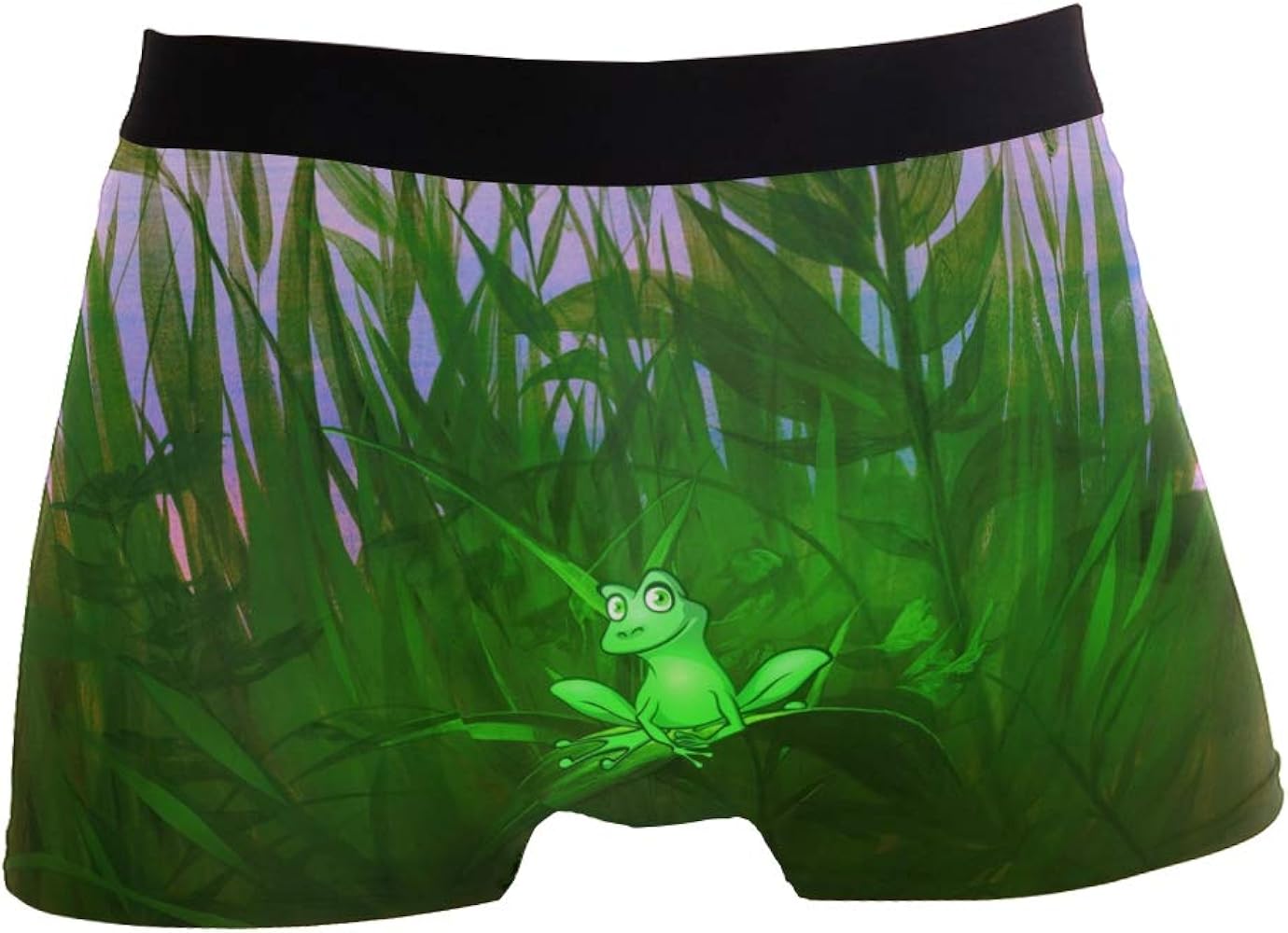 ZZKKO Men Fashion Frog Prince On Grass Men's Underwear Boxer Briefs Breathable, Multi